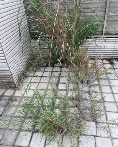 台北住家樓頂修繕工程, 台北頂樓修繕防水, 台北樓頂修繕工程, 台北頂樓防水, 台北頂樓修繕, 台北水泥工程, 台北頂樓防水, 台北水泥地鋪面, 台北地坪水泥粉刷施作, 台北泥作師傅, 台北泥作工程, 台北土水師傅