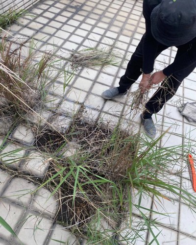 北投住家樓頂修繕工程, 北投頂樓修繕防水, 北投樓頂修繕工程, 北投頂樓防水, 北投頂樓修繕, 北投水泥工程, 北投頂樓防水, 北投水泥地鋪面, 北投地坪水泥粉刷施作, 北投泥作師傅, 北投泥作工程, 北投土水師傅